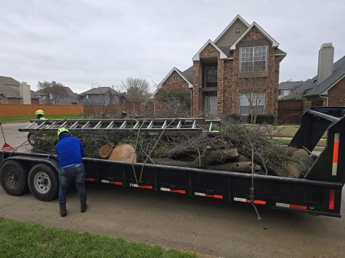 Expert Lot Clearing with proper safety equipment in Rochester